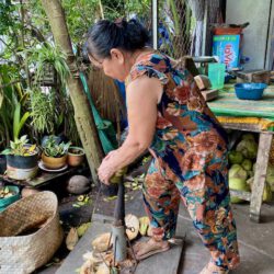 mekong delta vietnam tipps