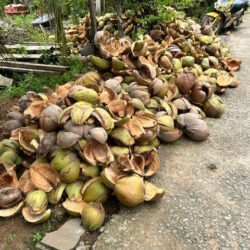 mekong delta vietnam tipps